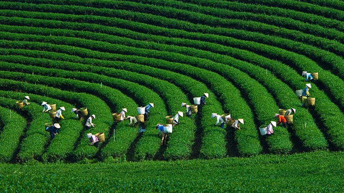 CÔNG TY TNHH DU LỊCH QUỐC TẾ TRÀNG AN 024.66.700.700