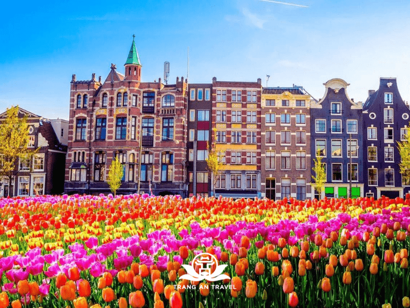 CÔNG TY TNHH DU LỊCH QUỐC TẾ TRÀNG AN 024.66.700.700