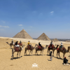 Kinh nghiệm du lịch Ai Cập cập nhật mới nhất năm 2024