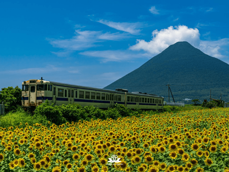 CÔNG TY TNHH DU LỊCH QUỐC TẾ TRÀNG AN 024.66.700.700