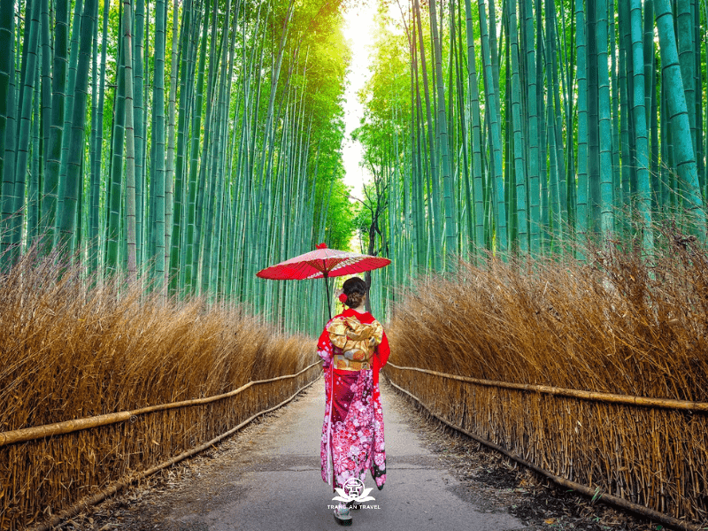 CÔNG TY TNHH DU LỊCH QUỐC TẾ TRÀNG AN 024.66.700.700