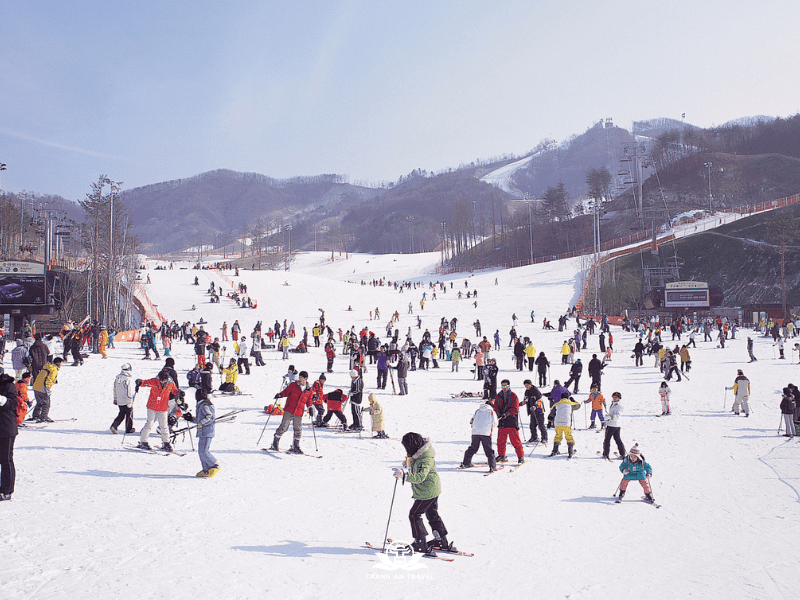 CÔNG TY TNHH DU LỊCH QUỐC TẾ TRÀNG AN 024.66.700.700