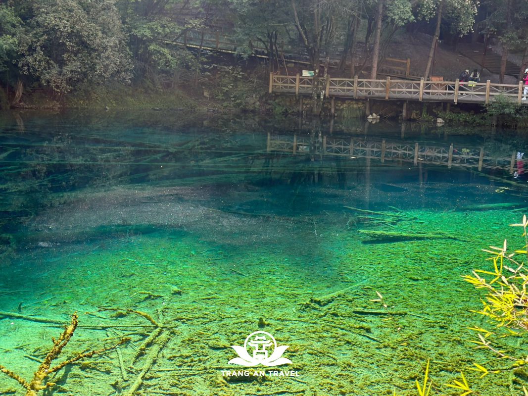 CÔNG TY TNHH DU LỊCH QUỐC TẾ TRÀNG AN 024.66.700.700