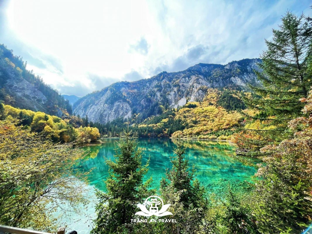 CÔNG TY TNHH DU LỊCH QUỐC TẾ TRÀNG AN 024.66.700.700