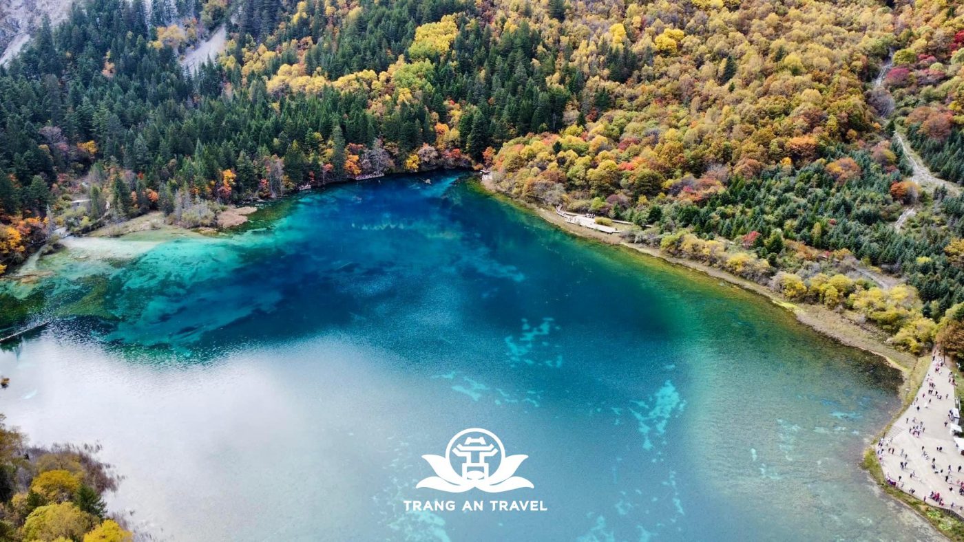 CÔNG TY TNHH DU LỊCH QUỐC TẾ TRÀNG AN 024.66.700.700