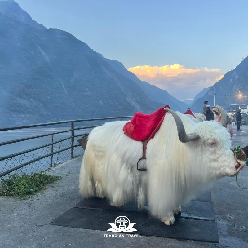 CÔNG TY TNHH DU LỊCH QUỐC TẾ TRÀNG AN 024.66.700.700