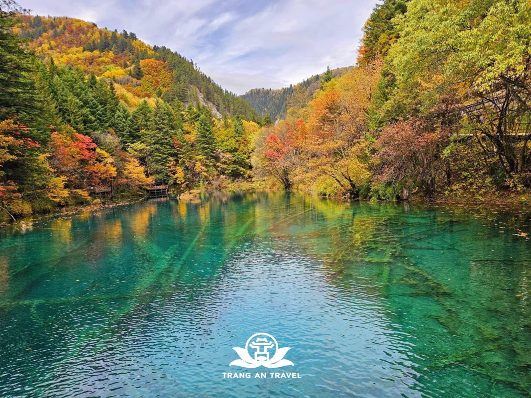 CÔNG TY TNHH DU LỊCH QUỐC TẾ TRÀNG AN 024.66.700.700