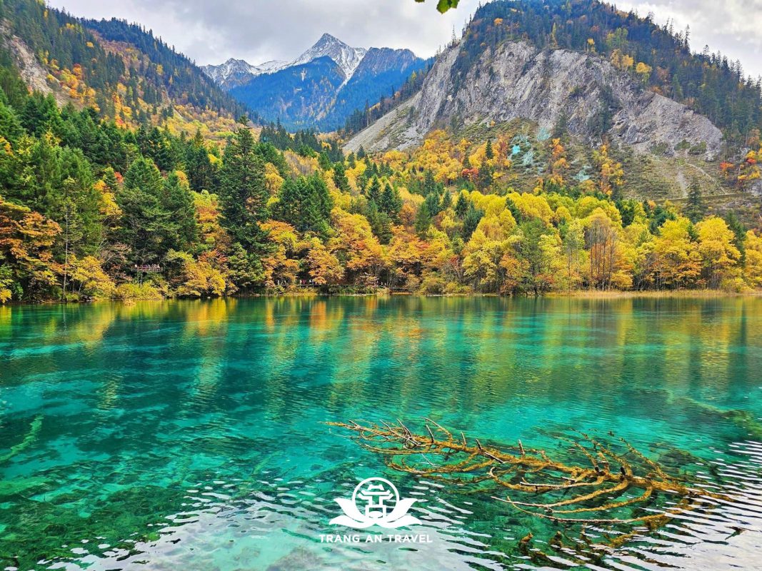 CÔNG TY TNHH DU LỊCH QUỐC TẾ TRÀNG AN 024.66.700.700