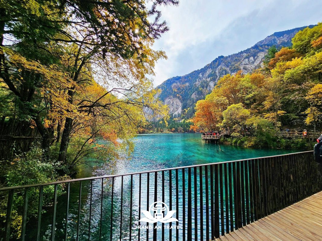 CÔNG TY TNHH DU LỊCH QUỐC TẾ TRÀNG AN 024.66.700.700