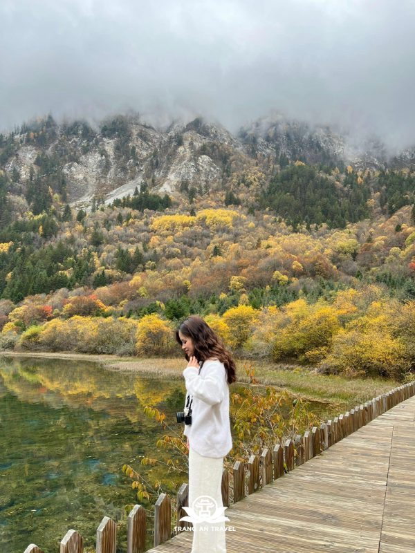 CÔNG TY TNHH DU LỊCH QUỐC TẾ TRÀNG AN 024.66.700.700