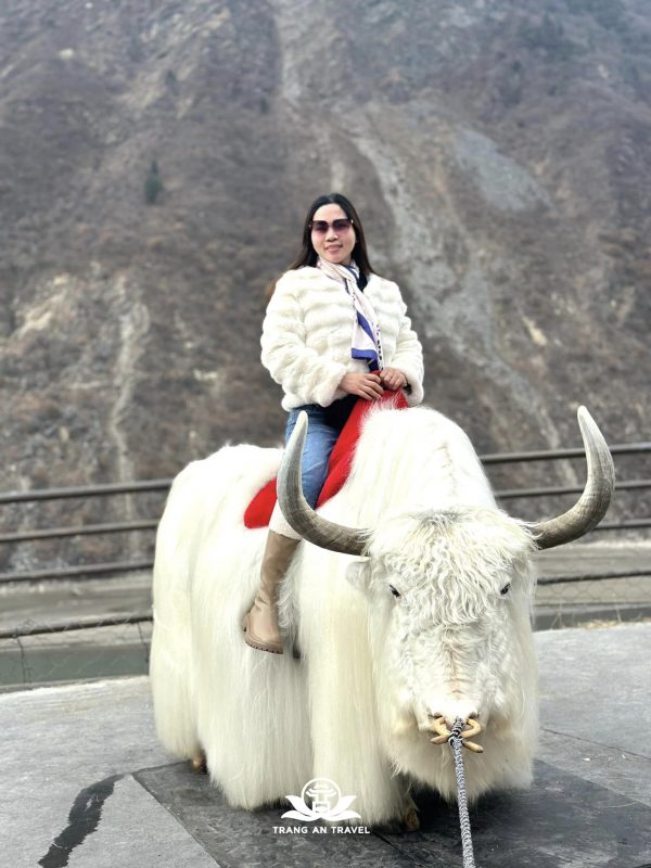 CÔNG TY TNHH DU LỊCH QUỐC TẾ TRÀNG AN 024.66.700.700