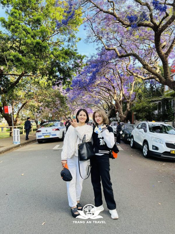 CÔNG TY TNHH DU LỊCH QUỐC TẾ TRÀNG AN 024.66.700.700