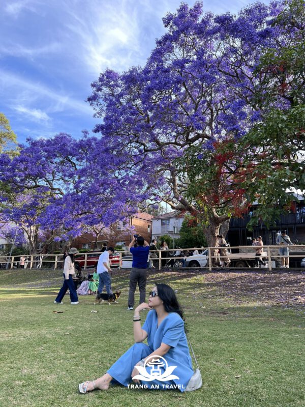 CÔNG TY TNHH DU LỊCH QUỐC TẾ TRÀNG AN 024.66.700.700