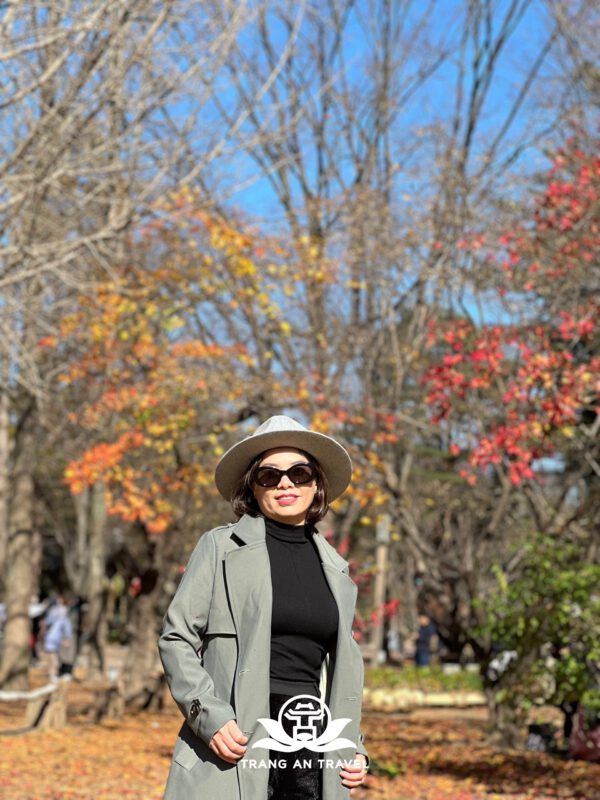 CÔNG TY TNHH DU LỊCH QUỐC TẾ TRÀNG AN 024.66.700.700