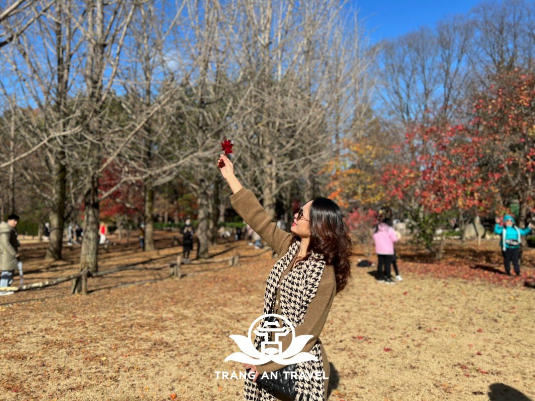 CÔNG TY TNHH DU LỊCH QUỐC TẾ TRÀNG AN 024.66.700.700