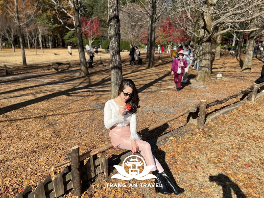 CÔNG TY TNHH DU LỊCH QUỐC TẾ TRÀNG AN 024.66.700.700