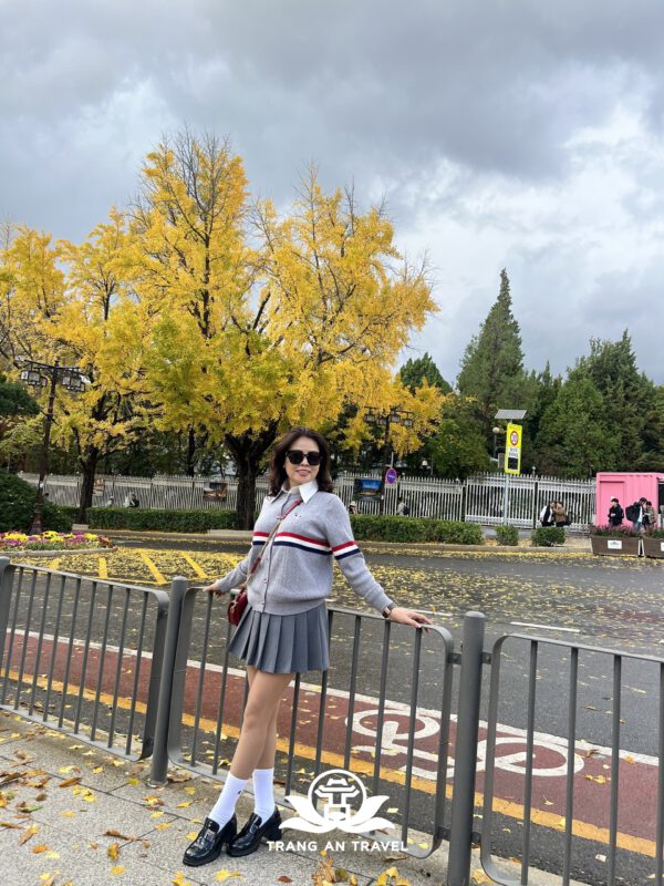 CÔNG TY TNHH DU LỊCH QUỐC TẾ TRÀNG AN 024.66.700.700