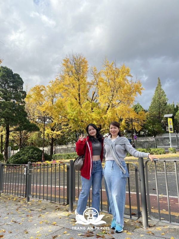 CÔNG TY TNHH DU LỊCH QUỐC TẾ TRÀNG AN 024.66.700.700