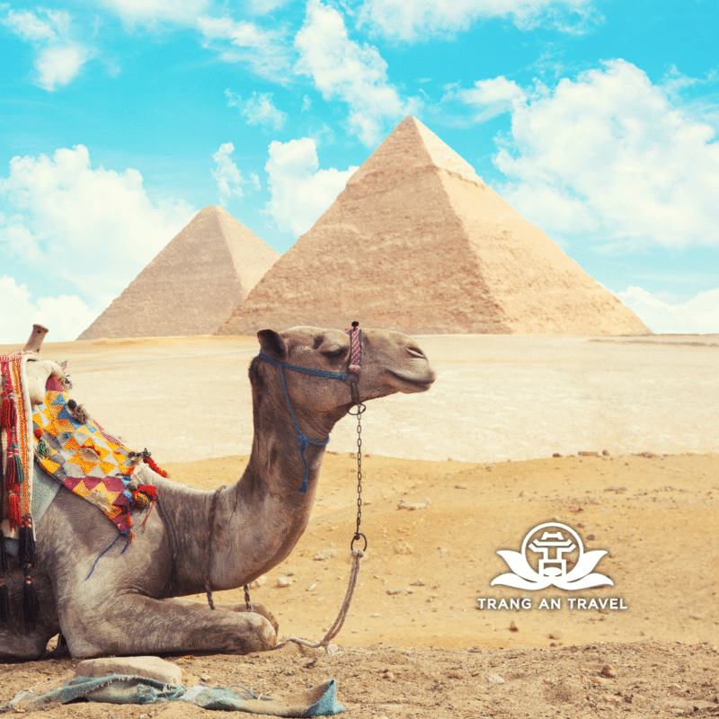 CÔNG TY TNHH DU LỊCH QUỐC TẾ TRÀNG AN 024.66.700.700