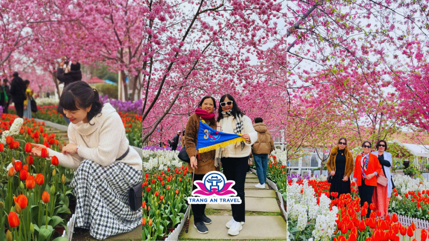 CÔNG TY TNHH DU LỊCH QUỐC TẾ TRÀNG AN 024.66.700.700