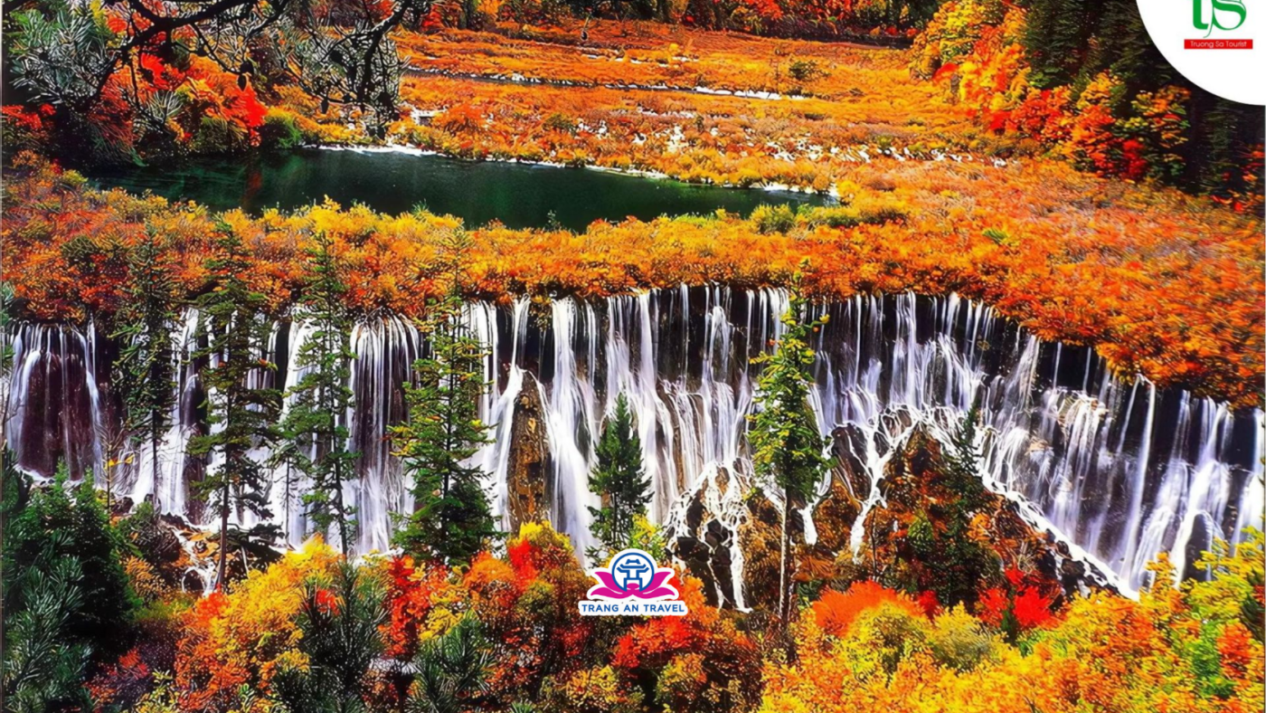 CÔNG TY TNHH DU LỊCH QUỐC TẾ TRÀNG AN 024.66.700.700