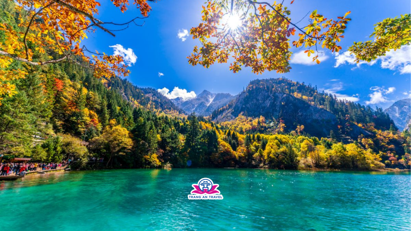 CÔNG TY TNHH DU LỊCH QUỐC TẾ TRÀNG AN 024.66.700.700