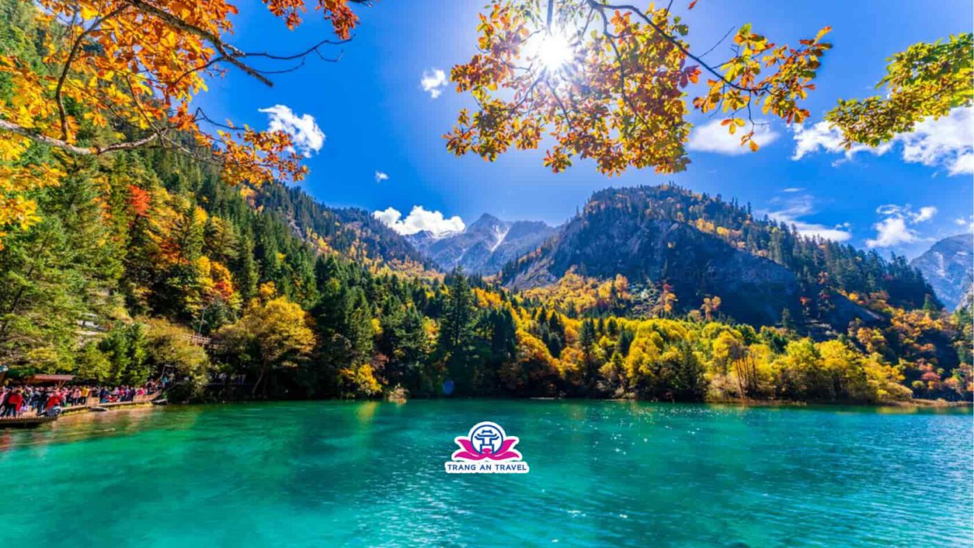 CÔNG TY TNHH DU LỊCH QUỐC TẾ TRÀNG AN 024.66.700.700