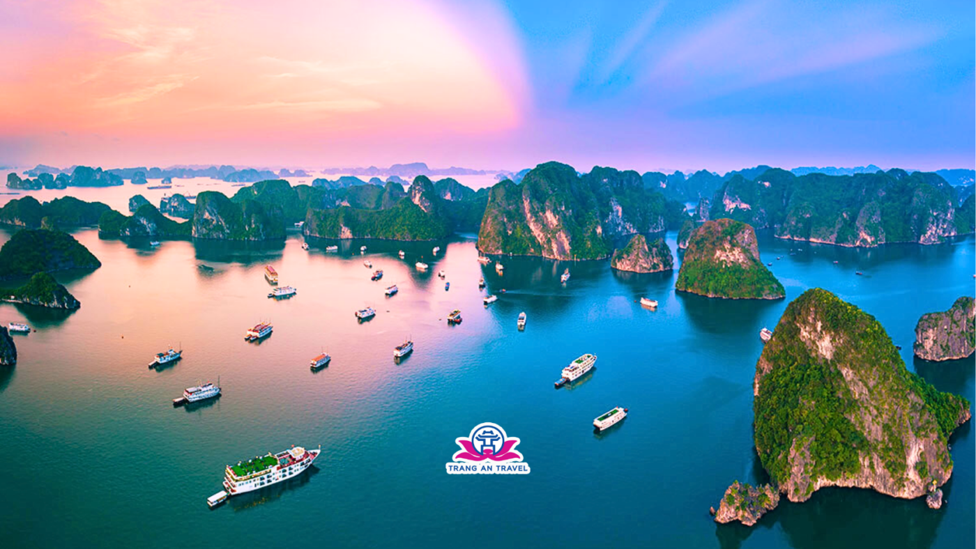 CÔNG TY TNHH DU LỊCH QUỐC TẾ TRÀNG AN 024.66.700.700