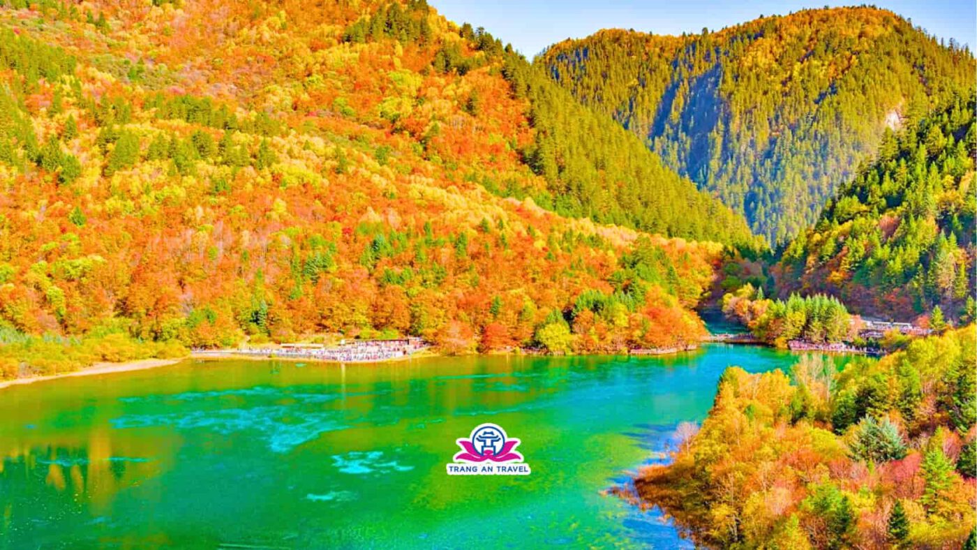 CÔNG TY TNHH DU LỊCH QUỐC TẾ TRÀNG AN 024.66.700.700