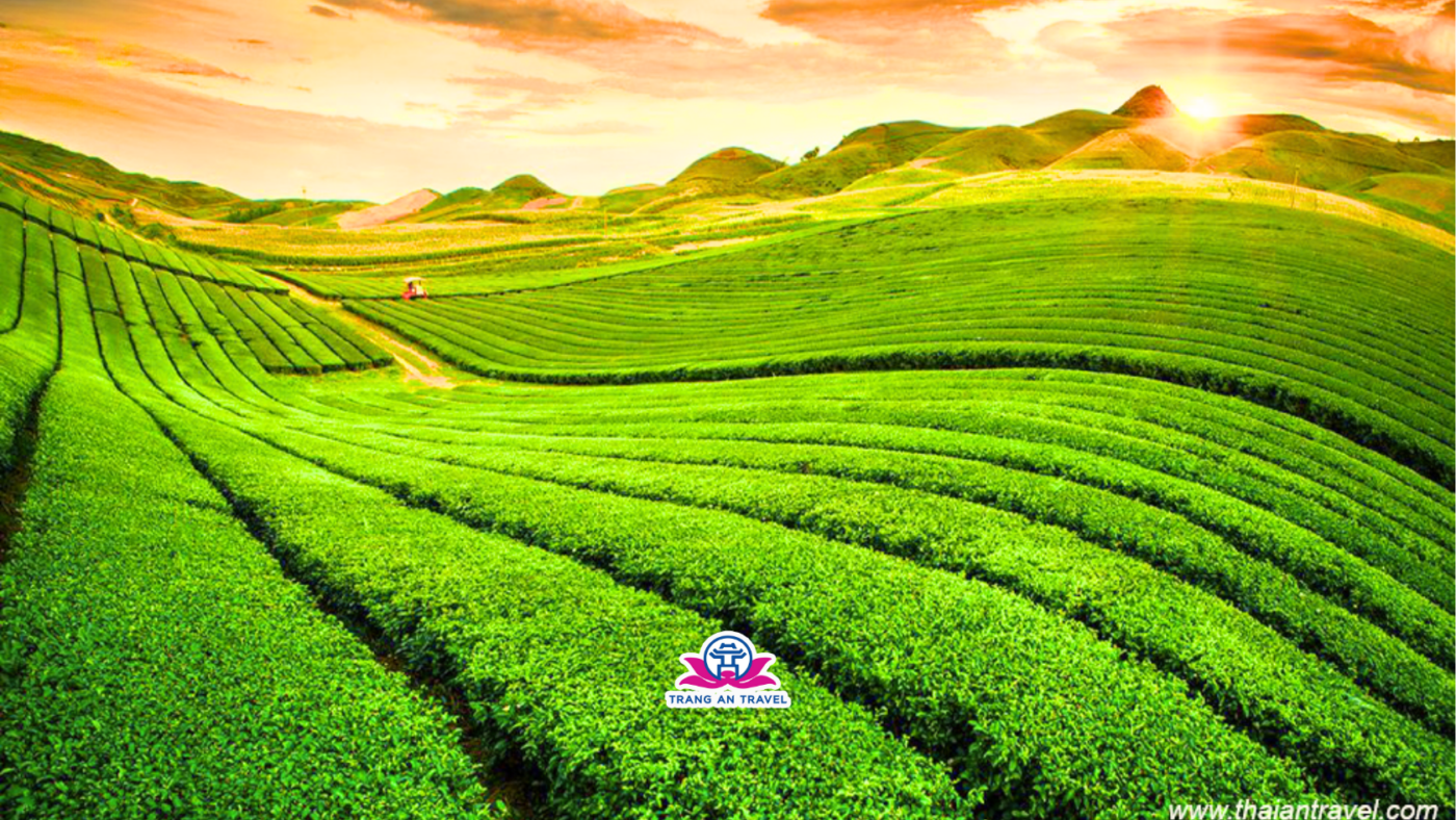 CÔNG TY TNHH DU LỊCH QUỐC TẾ TRÀNG AN 024.66.700.700