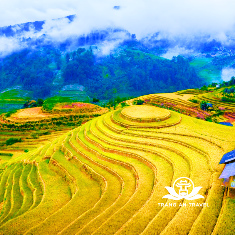 CÔNG TY TNHH DU LỊCH QUỐC TẾ TRÀNG AN 024.66.700.700