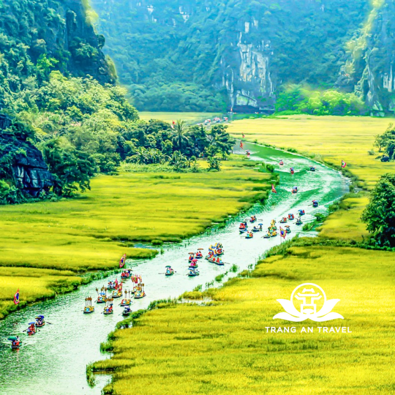 CÔNG TY TNHH DU LỊCH QUỐC TẾ TRÀNG AN 024.66.700.700