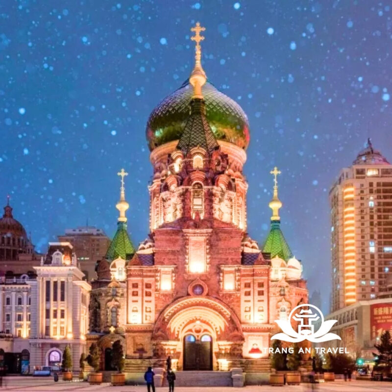 CÔNG TY TNHH DU LỊCH QUỐC TẾ TRÀNG AN 024.66.700.700